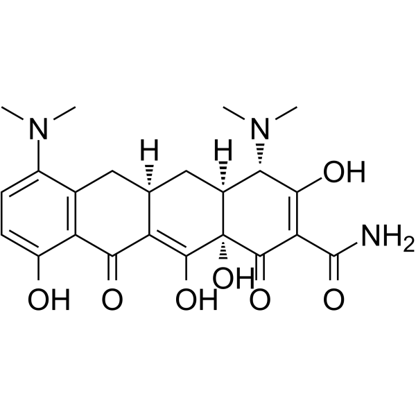 Minocycline structure