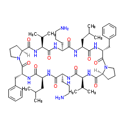 Gramicidin S structure