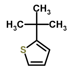 2-(叔丁基)噻吩结构式