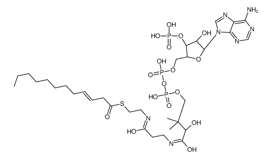 S-[2-[3-[[(2R)-4-[[[(2R,3R,5R)-5-(6-aminopurin-9-yl)-4-hydroxy-3-phosphonooxyoxolan-2-yl]methoxy-hydroxyphosphoryl]oxy-hydroxyphosphoryl]oxy-2-hydroxy-3,3-dimethylbutanoyl]amino]propanoylamino]ethyl] dodec-3-enethioate Structure