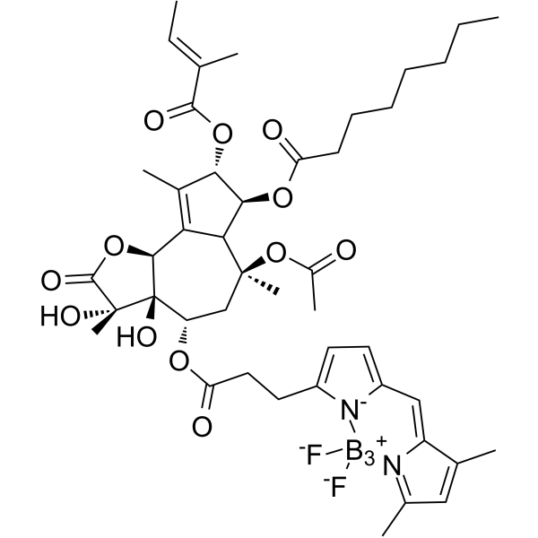 216571-99-2 structure