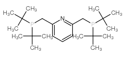 2,6 -双(二叔丁基磷酸甲基)吡啶结构式
