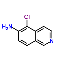 5-Chloroisoquinolin-6-amine picture