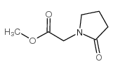 2-氧代-1-吡咯烷乙酸甲酯结构式