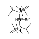 trans-PtHBr[P(t-Bu)3]2 Structure