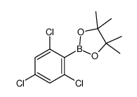 2,4,6-Trichlorophenylboronic Acid Pinacol Ester Structure