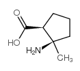 顺-2-氨基-2-甲基-环戊烷羧酸结构式