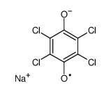 radical anion of chloranil Structure