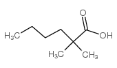 Hexanoic acid,2,2-dimethyl- structure