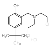 2-[bis(2-chloroethyl)aminomethyl]-4-tert-butyl-phenol结构式
