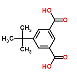 5-tert-Butylisophthalic Acid Structure