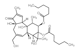 佛波醇 12,13-二己酸酯结构式
