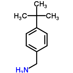 4-叔丁基苄胺图片