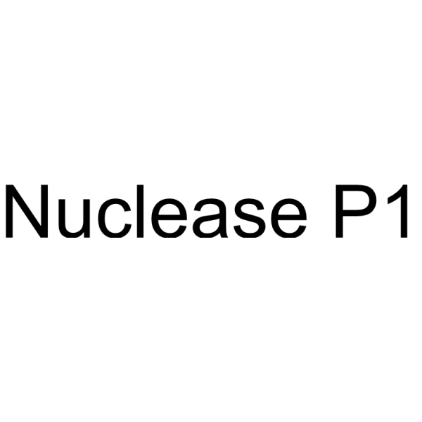 Nuclease P1 Structure
