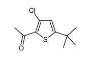 1-[5-(叔丁基)-3-氯-2-噻吩]-1-乙酮结构式
