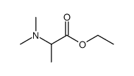 ethyl 2-(N,N-dimethylamino)-propionate结构式