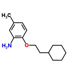 2-(2-Cyclohexylethoxy)-5-methylaniline Structure