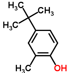 4-(叔丁基)-2-甲基苯酚结构式