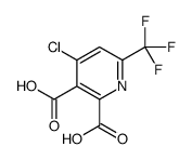 4-chloro-6-(trifluoromethyl)pyridine-2,3-dicarboxylic acid Structure