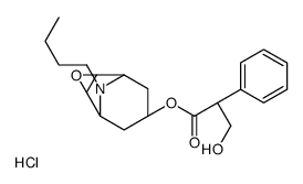 N-Butyl Nor Scopolamine Hydrochloride structure