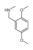 1-(2,5-Dimethoxyphenyl)-N-methylmethanamine picture