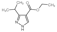 2-methylbutyl 1H-pyrazole-4-carboxylate Structure