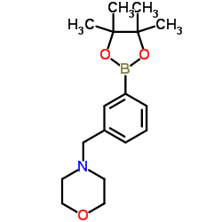 4-[3-(4,4,5,5-四甲基-1,3,2-二氧硼烷-2-基)苄基]吗啉结构式