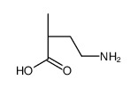(2R)-4-amino-2-methylbutanoic acid Structure