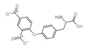 o-mono-2,4-dnp-l-tyrosine Structure