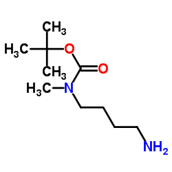 2-Methyl-2-propanyl (4-aminobutyl)methylcarbamate Structure