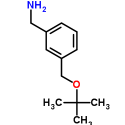 {3-[(tert-butoxy)methyl]phenyl}methanamine Structure