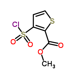 3-(氯磺酰)-2-噻吩羧酸甲酯结构式