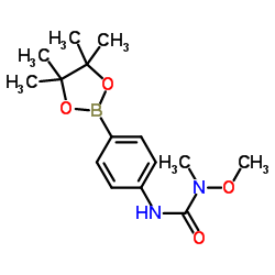 1-methoxy-1-methyl-3-[4-(4,4,5,5-tetramethyl-1,3,2-dioxaborolan-2-yl)phenyl]urea Structure