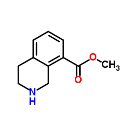 1,2,3,4-四氢-8-异喹啉羧酸甲酯结构式