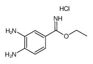 ethyl 3,4-diaminobenzimidate hydrochloride Structure