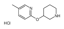 5-Methyl-2-(piperidin-3-yloxy)-pyridine hydrochloride Structure