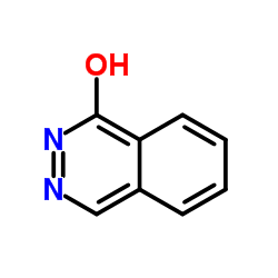 2,3-二氮杂萘酮结构式