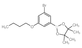 3-溴-5-丁氧基苯硼酸频那醇酯图片
