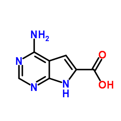 4-amino-7H-pyrrolo[2,3-d]pyrimidine-6-carboxylic acid structure