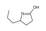 5-propylpyrrolidin-2-one Structure