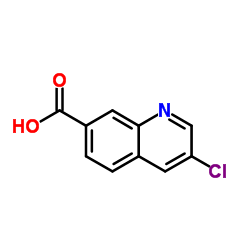3-chloroquinoline-7-carboxylic acid structure