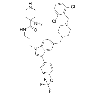 Pan-RAS-IN-1 Structure