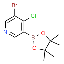 5-Bromo-4-chloropyridine-3-boronic acid pinacol ester structure