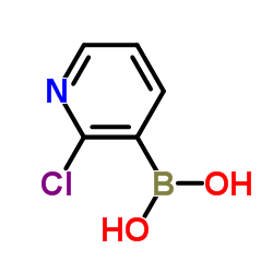 2-氯吡啶-3-硼酸图片