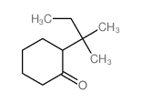 2-(2-methylbutan-2-yl)cyclohexan-1-one结构式