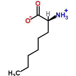 (S)-2-氨基辛酸结构式