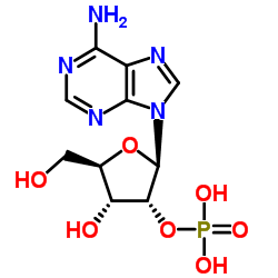 腺苷2'(3')-单磷酸盐混合异构体结构式