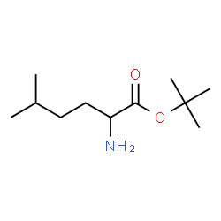 tert-Butyl 2-amino-5-methylhexanoate Structure