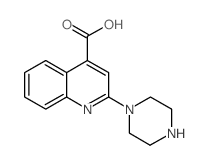 2-哌嗪-1-基-喹啉-4-羧酸结构式