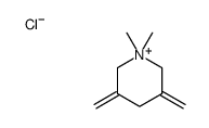 1,1-dimethyl-3,5-dimethylidenepiperidin-1-ium,chloride Structure